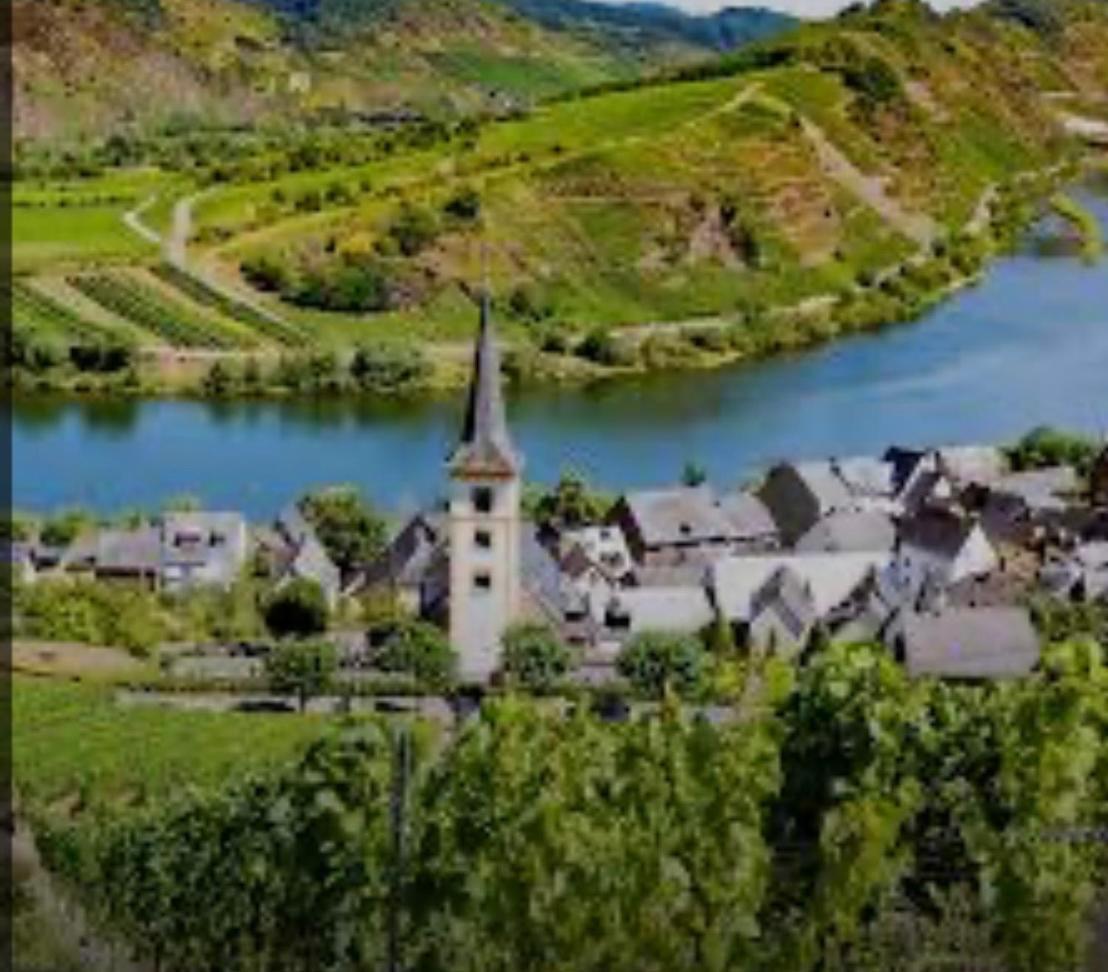 Ferienwohnung Eifel Mosel Hunsrueck Bergweiler Eksteriør billede